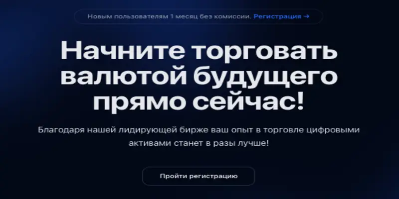 ZORPEX инфо о бирже обзор на ZORPEX