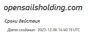 Инвестиционный проект Опен Сейлс Холдинг Инвестиционный проект Опен Сейлс Холдинг