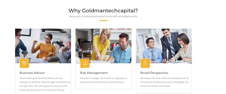 обзор на Goldmantechcapital