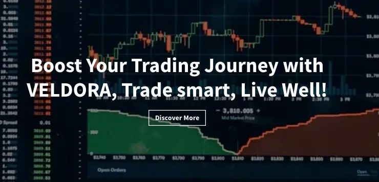 Veldora Trading инфо о сайте обзор на Veldora Trading