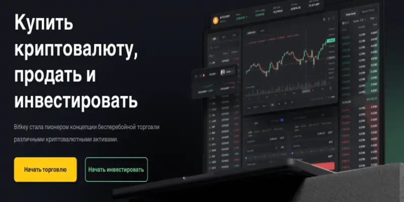 что известно? Bitkey