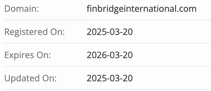 FinBridge International домен домен FinBridge International