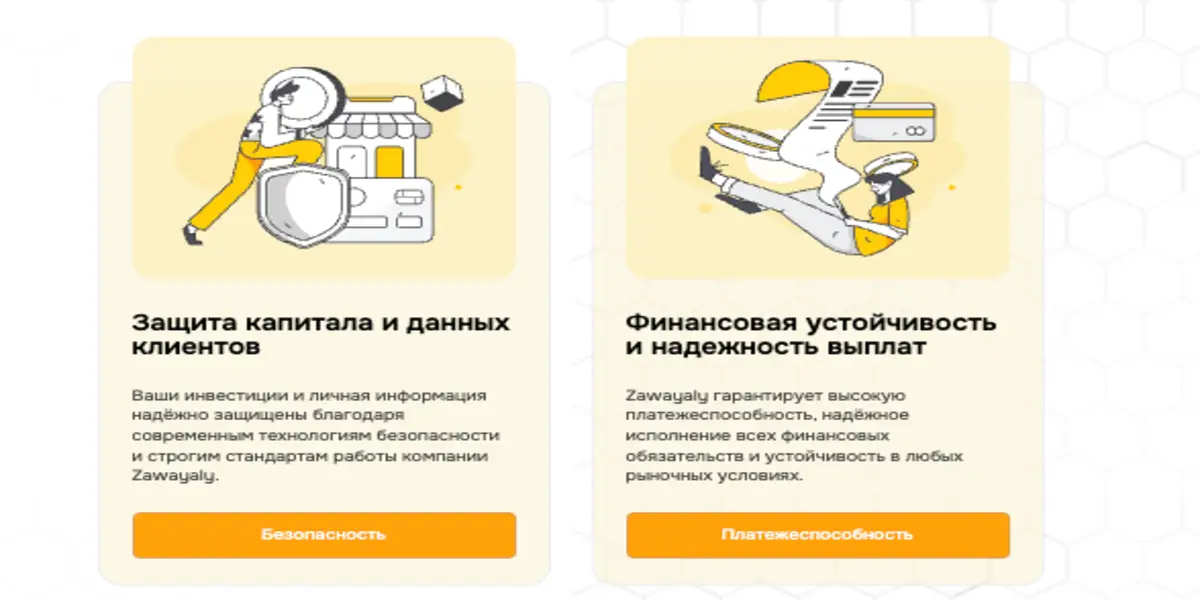 Zawayaly информация о проекте обзор на Zawayaly
