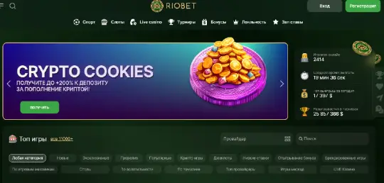 RioBet инфо о проекте обзор на RioBet
