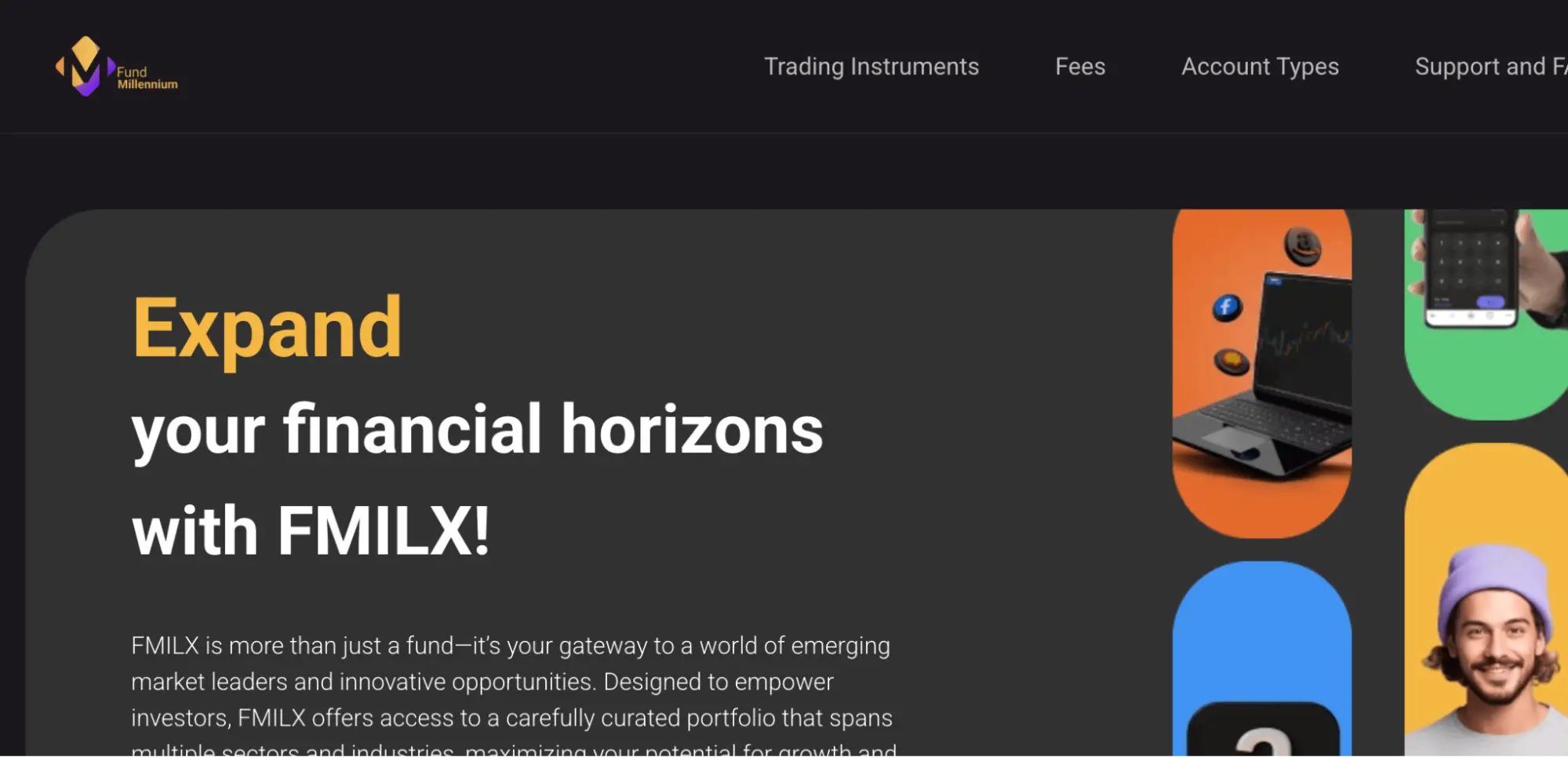 обзор FMILX
