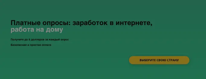 информация о MetroOpinion