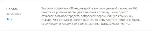Waldora Company Отзывы Waldora Company Отзывы