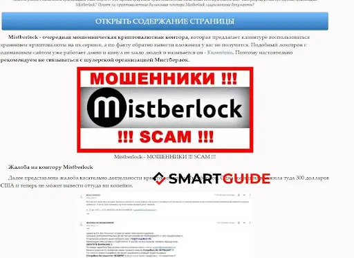 Мошенники Mistberlock Мошенники Mistberlock