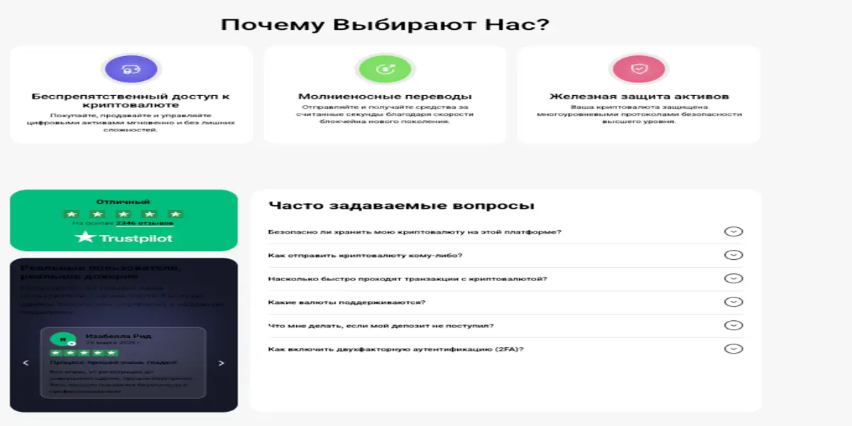 что известно? Bitzond