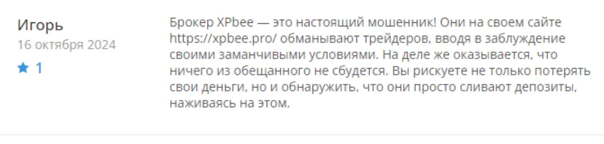 XPBee Trading реальный отзыв отзыв про XPBee Trading