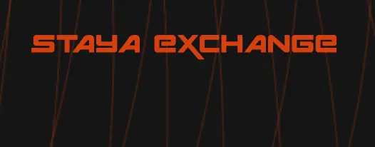 🤔Не могу вывести деньги с Staya Exchange – причины, способы исправления проблемы
