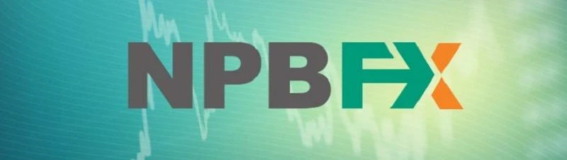 Обзор - NPBFX