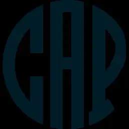 Обзор - Capital Alliance Partners