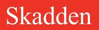 Обзор - Skadden