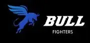 Обзор - Bull Fighters