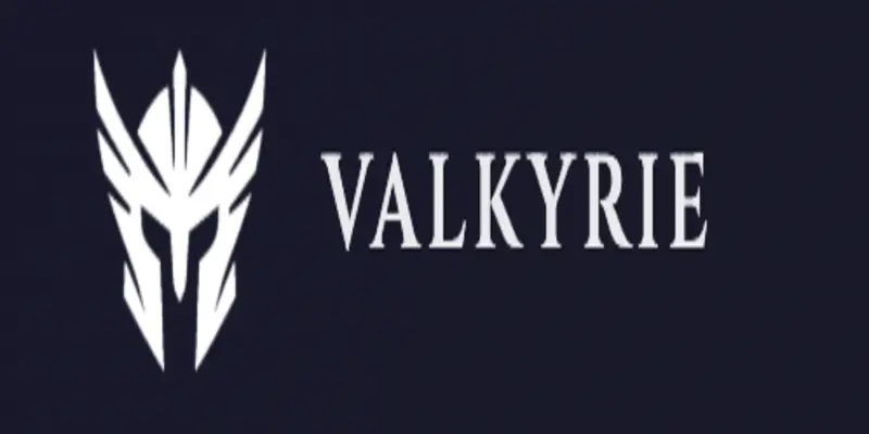 Обзор - Valkyrie Revival Fund