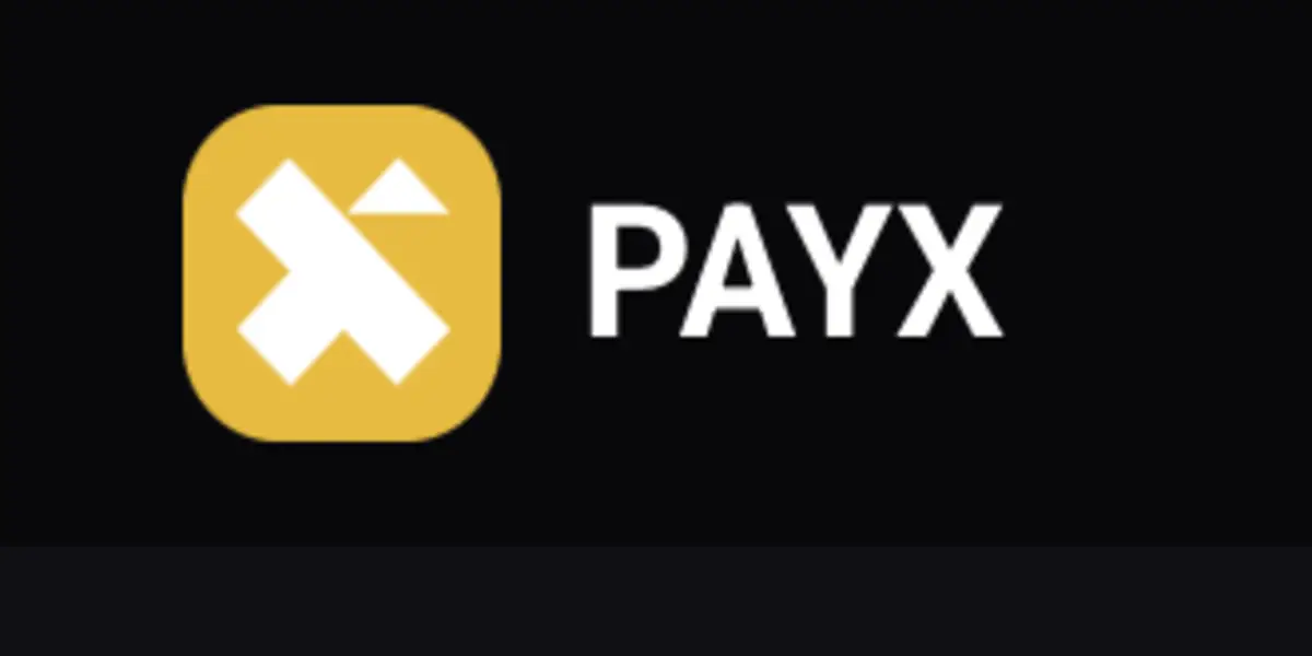 Обзор - PayX