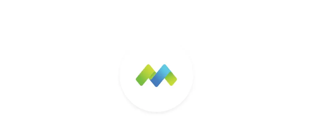 Обзор - Morfin FX LLC