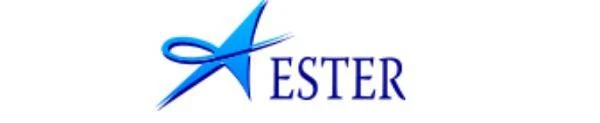 Обзор - Ester Holdings Inc