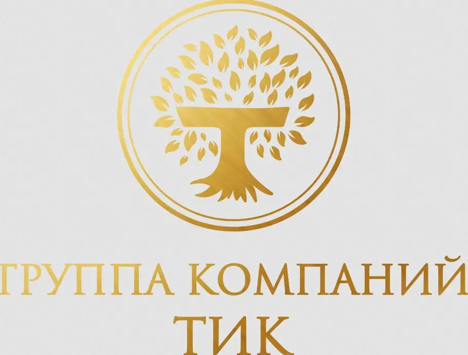 Обзор - Группа компаний ТИК