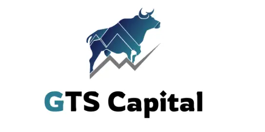 Обзор - GTS Capital