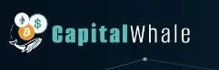 Обзор - Capital Whale