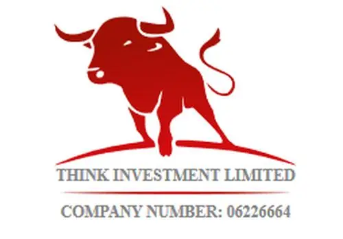 Обзор - THINK INVESTMENTS LIMITED