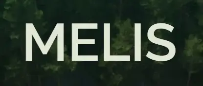 Обзор - MELIS