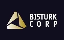 Обзор - BisturkCorp