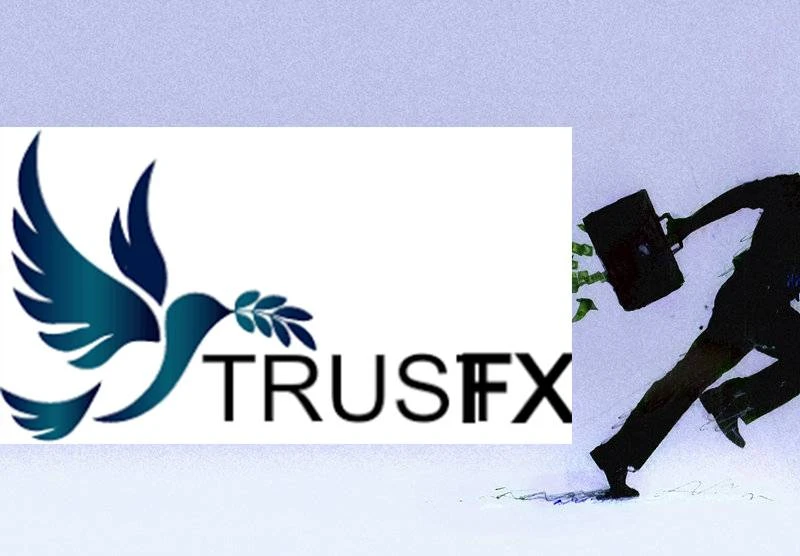 Обзор - TrustFX