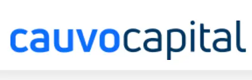 Обзор - CauvoCapital