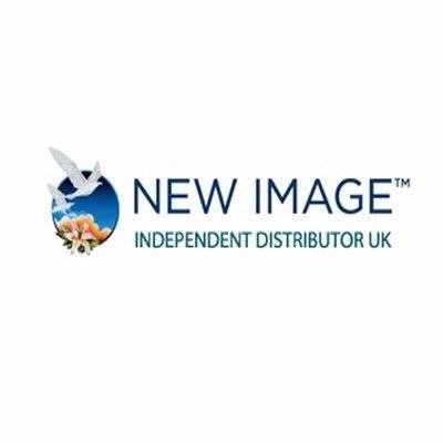Обзор - New Image Group